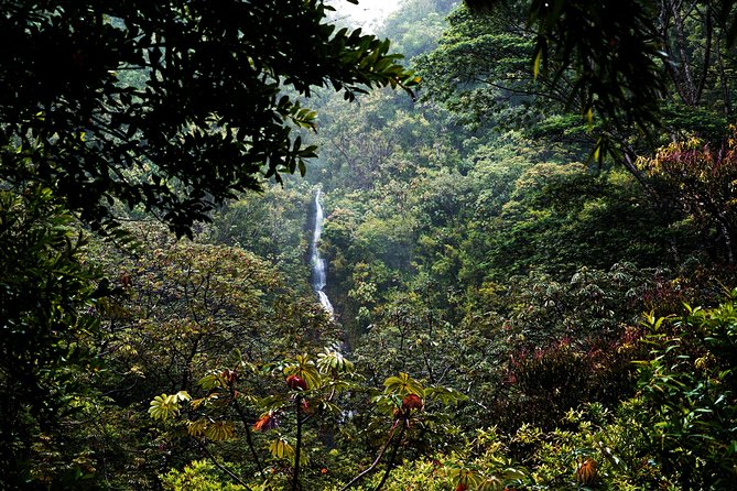 Manoa Waterfall Hike From Waikiki With Healthy Lunch Included - Transportation and Pickup Details