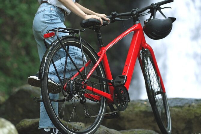 Marlin 6 E-Bike XS Mt. Aso Journey From Kumamoto Airport - Exploring the Scenic Mt. Aso