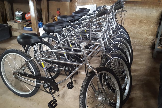 Maui Haleakala Day Bike Tour With Mountain Riders From 6500 to Sea Level - Recommendations and Additional Information
