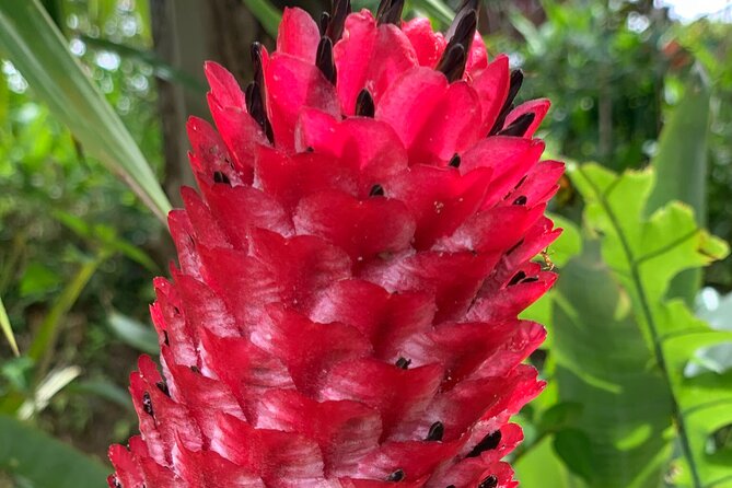 Maui Magical Waterfall and Jungle Tour: Road to Hana - Guide Expertise and Personalization
