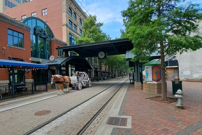 Memphis City Highlights: Private Guided Sightseeing Tour - Customer Feedback and Testimonials