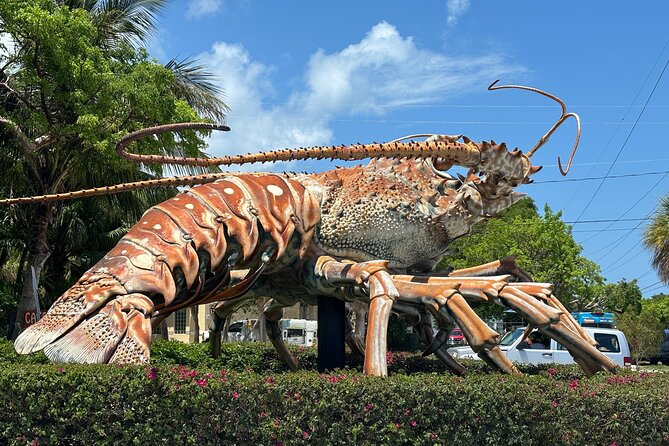 Miami to Key West Roundtrip Bus Tour With Narration - Customer Feedback and Testimonials