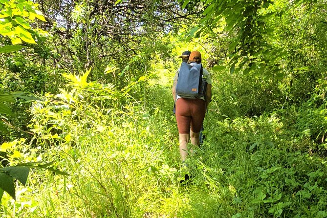 Michinoku 3 Day Hike of Coastal Trail ;Soma,Natori,Matsushima - Confirmation and Booking Information