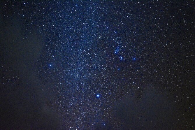 Miyako Island Jungle Night Tour and Starry Sky Viewing - Health and Safety Considerations