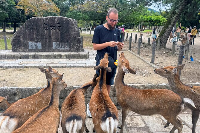 Morning Wonder World Heritage Nara Guided Tour - Tour Requirements and Restrictions