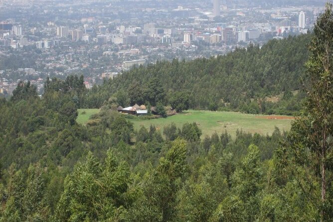 Mount Entoto View Point, Museum Palace Local Market & Food Tours - Local Market and Food Tours