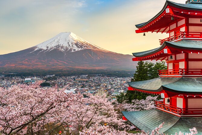 Mount Fuji and Hakone Private Day Trip by Car/Van - in English - Trip Details