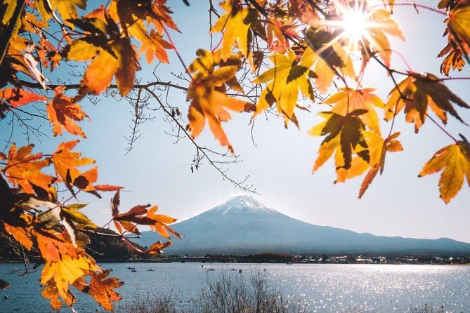 Mount Fuji Classic Day Tour (Join Tour) - Tour Conditions