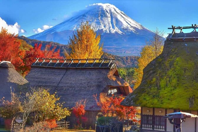 Mount Fuji Day Tour on Scenic Lakes and Oshino Hakkai Adventure - Accessibility and Participation Requirements
