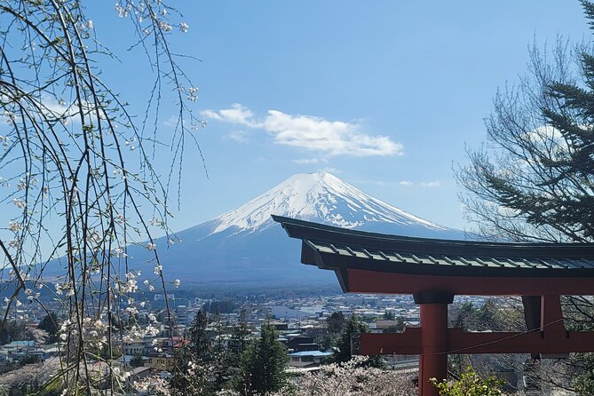 Mount Fuji Day Tour With English/Hindi Speaking Guide - What to Expect on the Mount Fuji Day Tour
