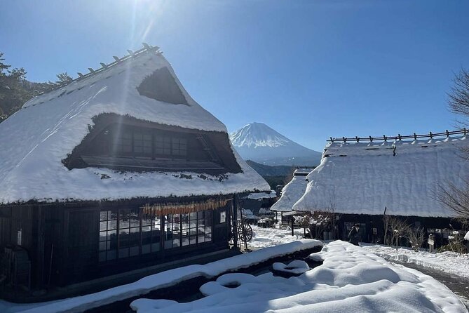 Mount Fuji Four Iconic Scenic Spots Day Tour From Tokyo - Accessibility and Participation Requirements