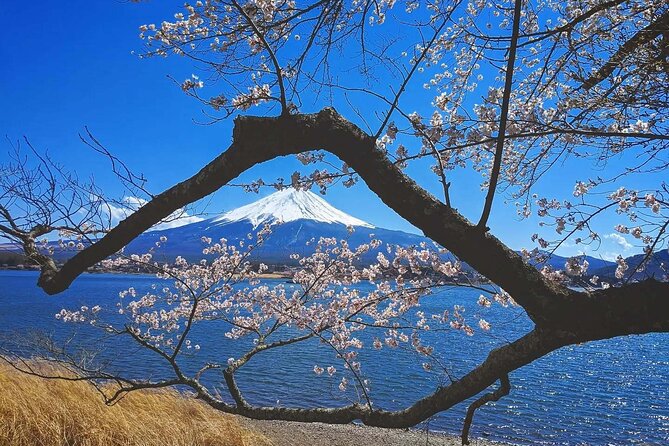 Mount Fuji Full Day Tour Form Tokyo Lake Kawaguchi & Yamanaka - Expectations and Additional Info