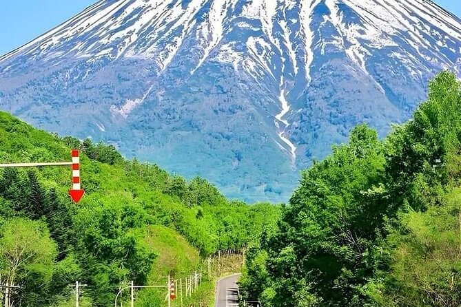 Mount Fuji Sightseeing One Day Tour From Shinjuku - Itinerary