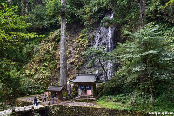 Mount Haguro E-Bike Sightseeing Tour in Yamagata, Japan - Accessibility