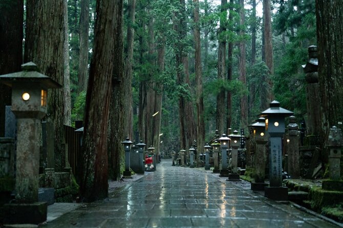 Mount Koya, Wakayama and Nachi Waterfall Tour - Sandanbeki Cave Discovery