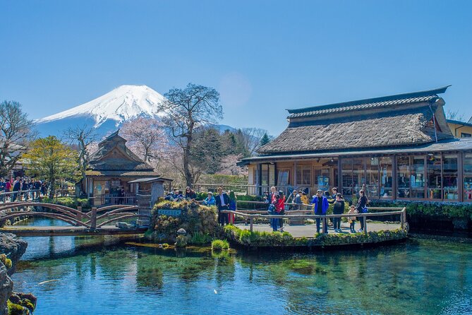 Mountain Fuji Tour In Japan With Professional English Tour Guide - Additional Considerations