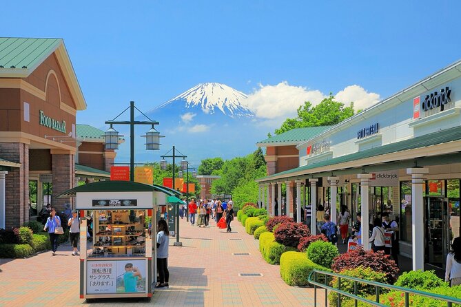 Mt. Fuji and Gotemba Outlet Private Day Trip From Tokyo - Booking and Flexibility
