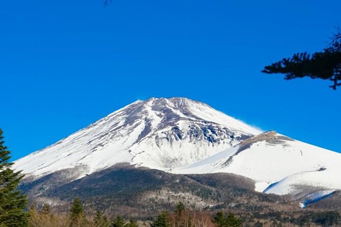 Mt. Fuji and Hakone 1-Day Bus Tour [Return W/ Shinkansen] - Exploring Hakone