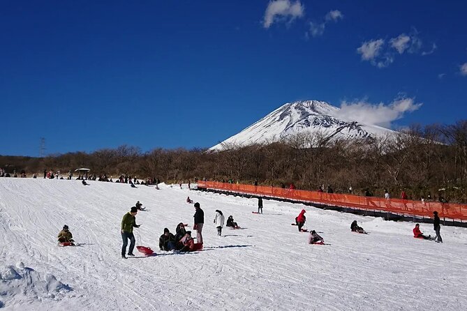 Mt Fuji and Hakone One Day Tour Departure From Tokyo With Lunch - Accessibility and Participation