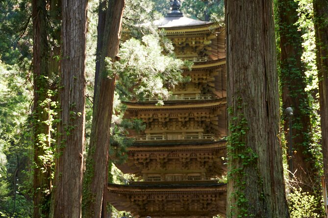 Mt. Fuji and Hakone Private Day Tour With English Speaking Guide - Pricing and Group Size