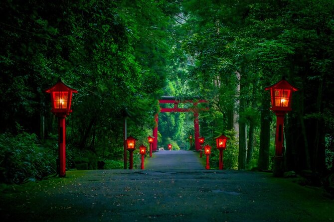 Mt Fuji and Hakone Private Day Tour - Pickup and Accessibility