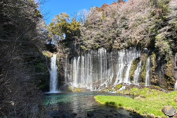 Mt.Fuji Area Tour From Shimizu Port /Small Bus - Lunch and Refreshments