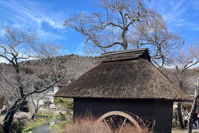 Mt. Fuji Cherry Blossom and Shibasakura Festival Tour - Booking Information