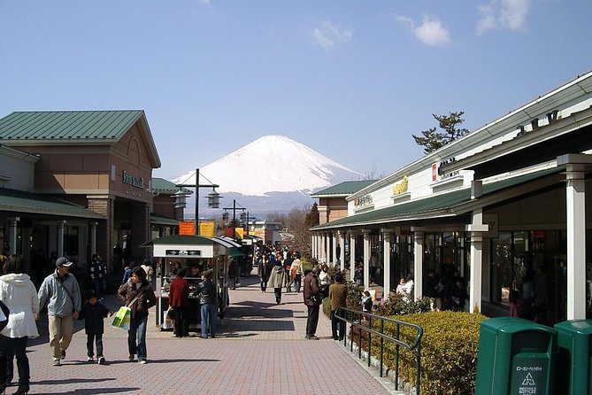 Mt. Fuji Day Tour by Private Minivan With Licensed Tour Guide and Driver - Accessibility and Participation