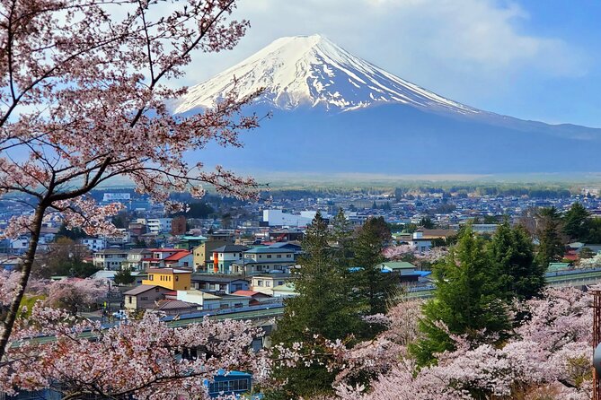 Mt. Fuji Guided Private Tour GREEN NUMBER PLATES - Booking and Cancellation Policy