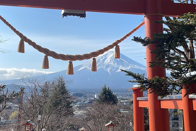 Mt Fuji/Hakone Private Tour From Tokyo/Yokohama - Participation Details