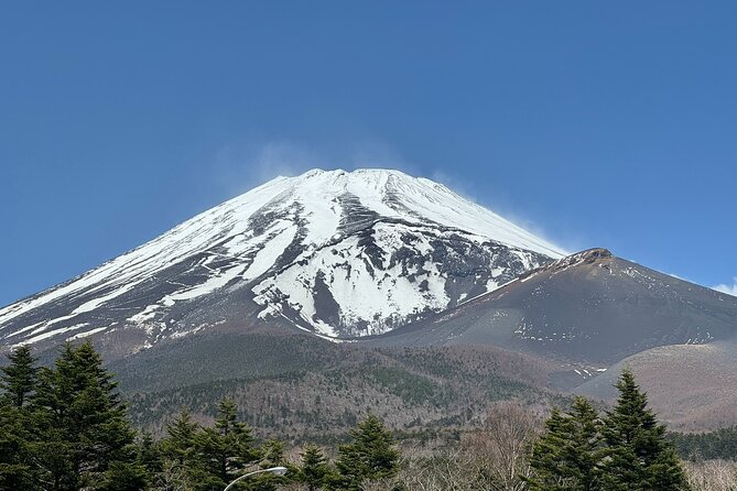 Mt. Fuji & Hakone Private Tour With English-Speaking Guide - Exploring Mt. Fuji