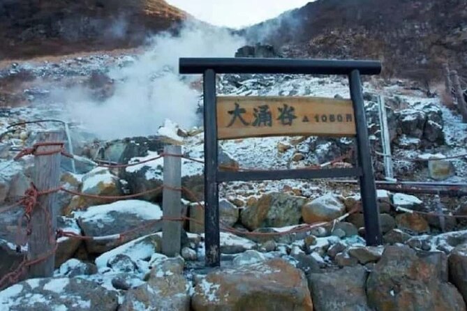 Mt. Fuji Hakone Ropeway and Oshino Hakkai Day Tour - Booking Information and Policies