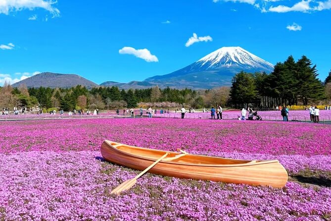 Mt. Fuji to Lake Kawaguchi, Lake Yamanaka and Onsen Day Tour - Important Information