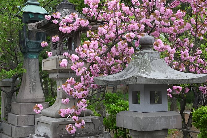 Nagano Snow Monkeys, Zenko-ji & Obuse Private 1-Day Tour - Pricing and Booking