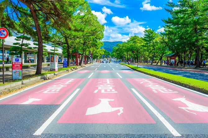 Nara and Uji 1-Day Private Trip - Experiencing the Serenity of Kofukuji Temple