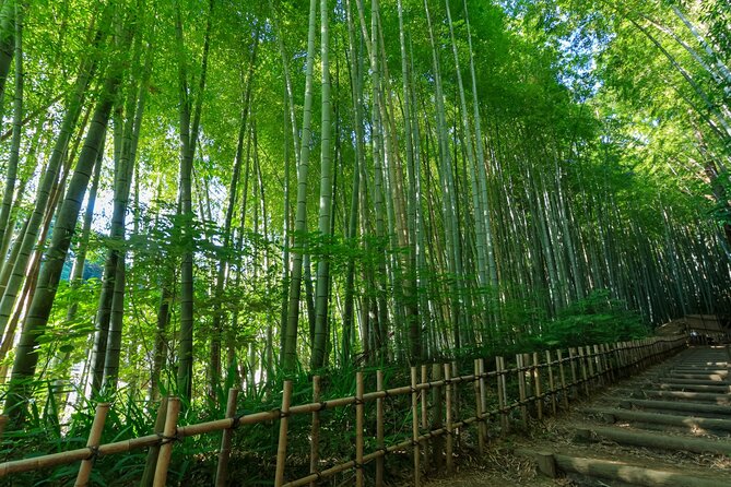Narita Shinshoji Temple and Sakura Samurai Residences by Car - Additional Information