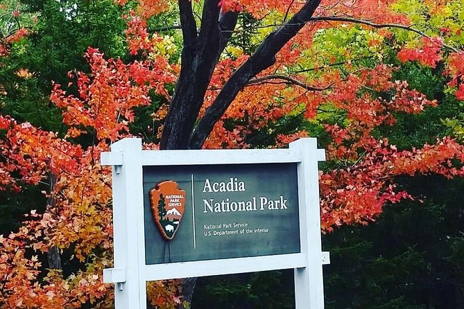 Narrated Bus Tour of Bar Harbor and Acadia National Park - Traveler Feedback and Ratings