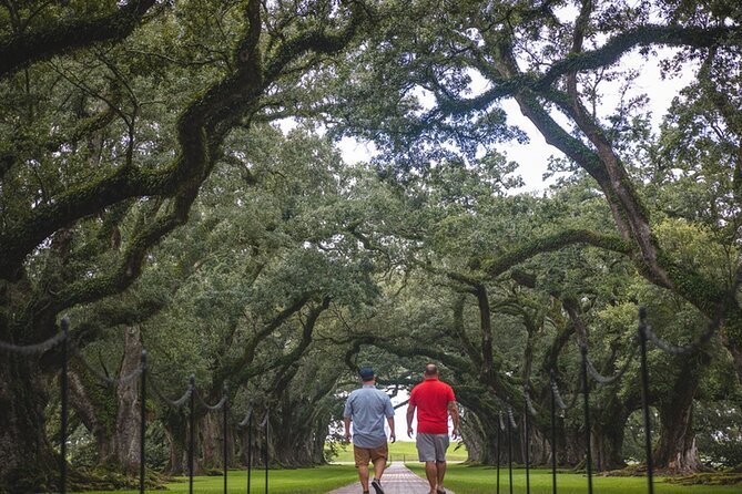 New Orleans Garden District Walking Tour - Ratings and Traveler Feedback
