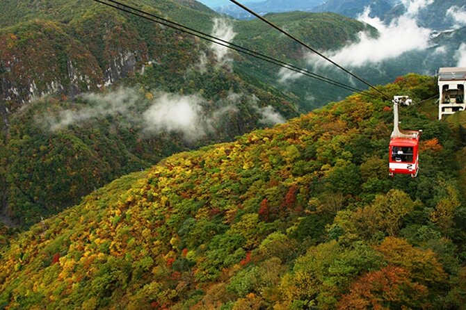 Nikko Full Day Customize Private Tour - Exploring the Wonders of Nikko