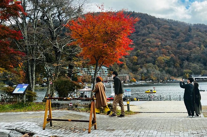 Nikko Heritage Private Tour With English Guide From Tokyo - Accessibility and Recommendations