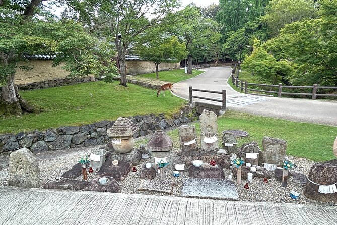 No Emission Car Nara Private Tour From Kyoto With Japanese Guide - Itinerary