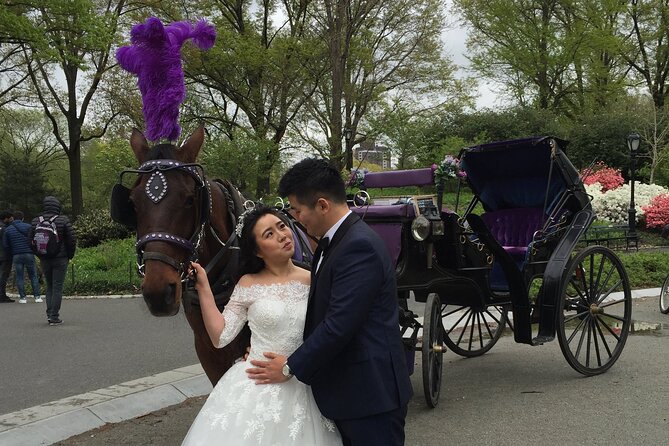 NYC Central Park Horse and Carriage Ride: Long Ride 45 Min - Pricing and Booking Information