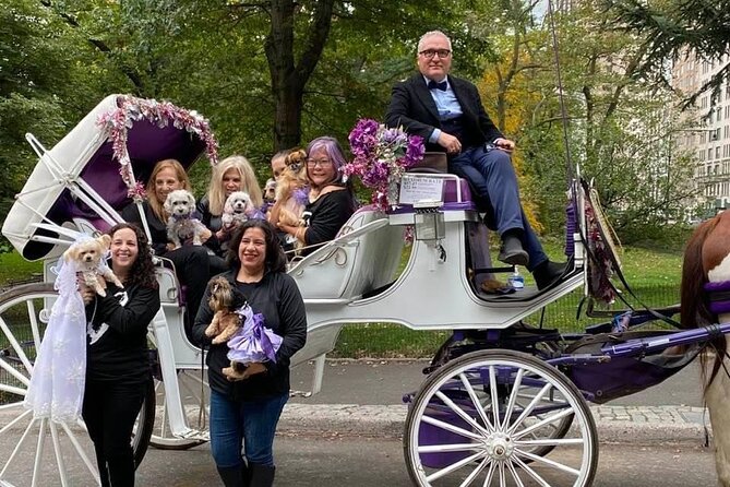 NYC Central Park VIP Horse and Carriage Ride - Accessibility Features