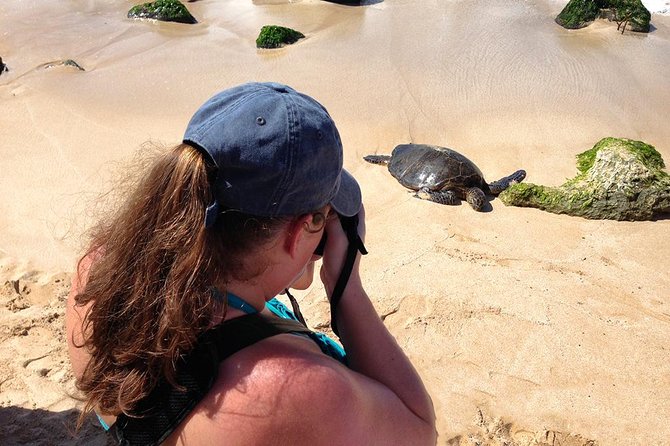 Oahu Island Photography Tour - Participant Expectations