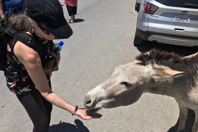 Oatman Mining Camp, Burros, Museums/Scenic RT66 Tour Small Grp - Navigating the Scenic Route 66