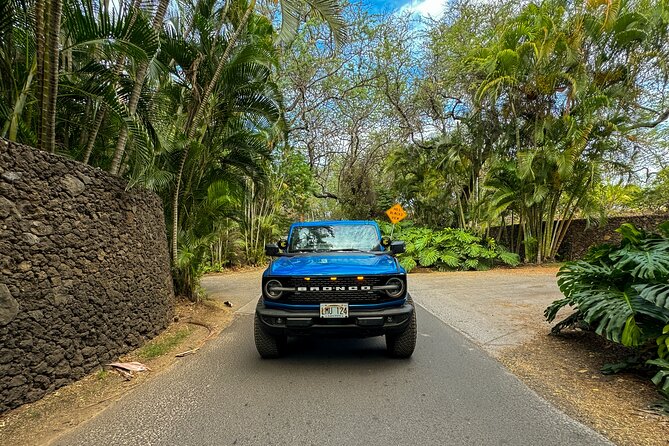 Off Road Coastal Tour 4x4 Vehicle With Snorkel, Photo and Video - Photo and Video Documentation