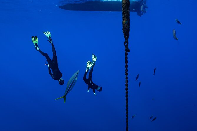 Offshore Safari Adventure in Kona With Underwater Photos - Amenities and Additional Services
