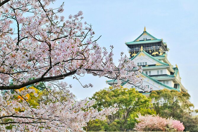 One Day Osaka Expo 2025 Kansai Admission Ticket - Provider Information
