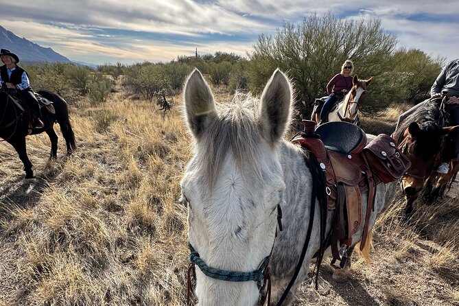 One Hour Guided Horseback Ride - Reviews and Feedback