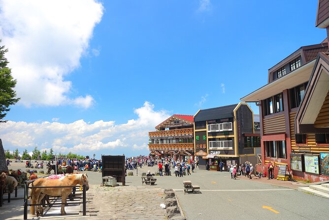 One Way Bus Tokyo to Kawaguchiko via Mt. Fuji 5th Station - Weather and Itinerary Changes